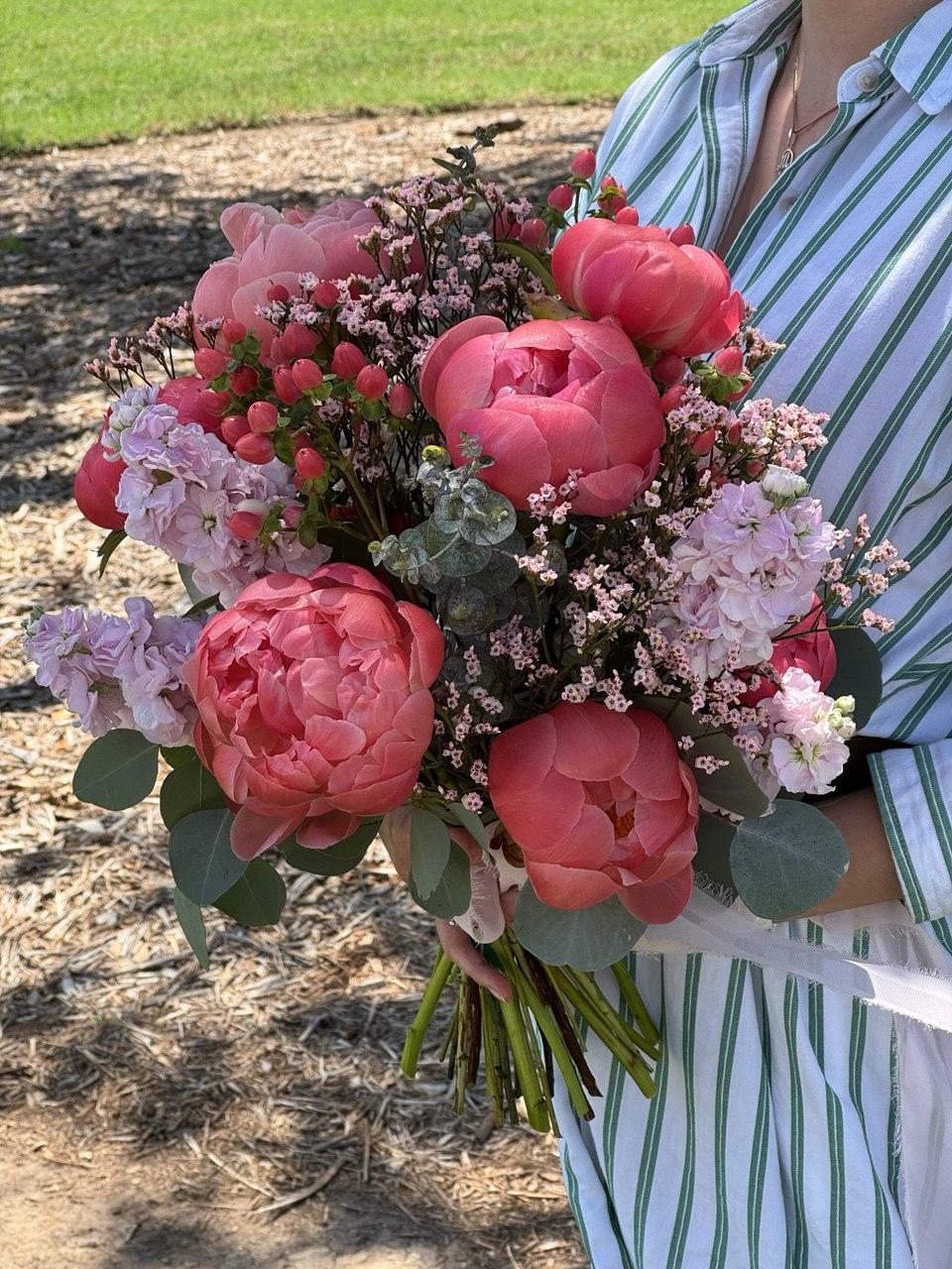 10 Coral Charm Peonies