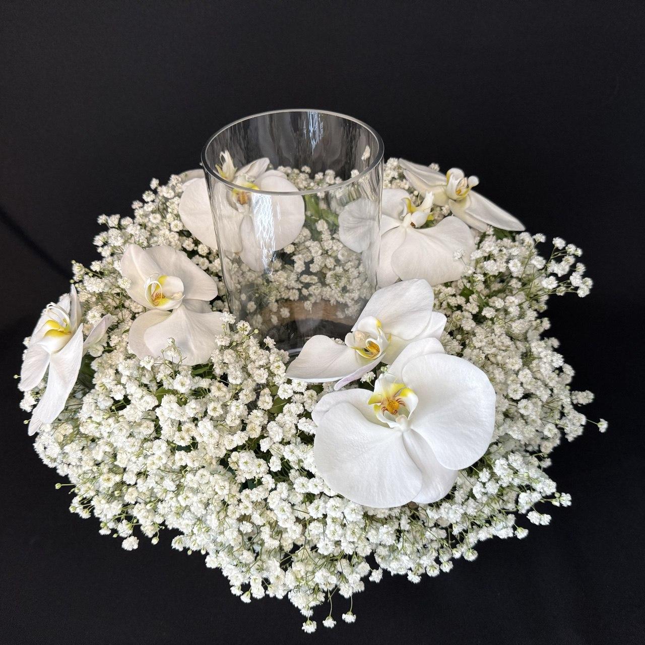 Jumbo Premium Orchid with Baby's Breath