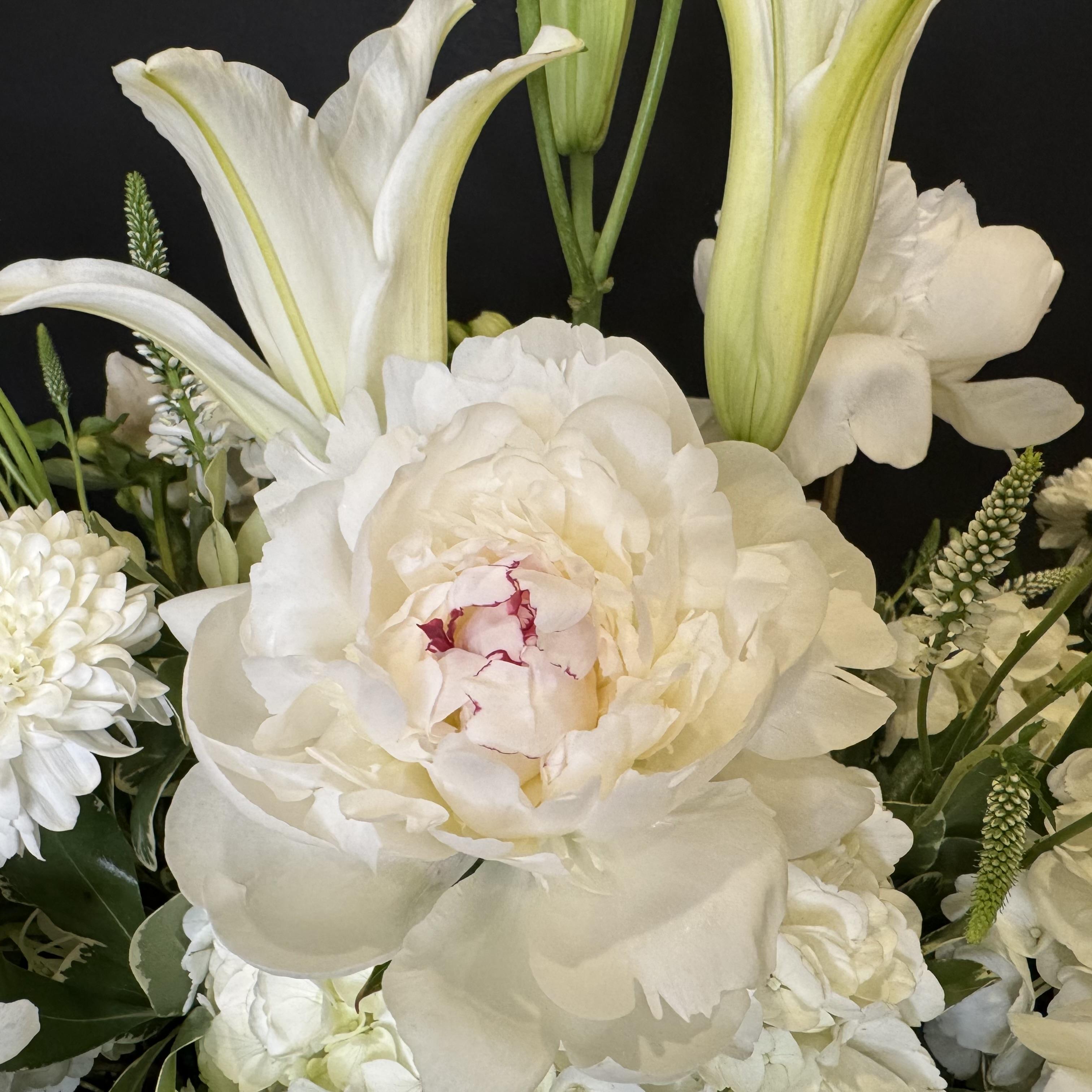 Casket Cover - image 5