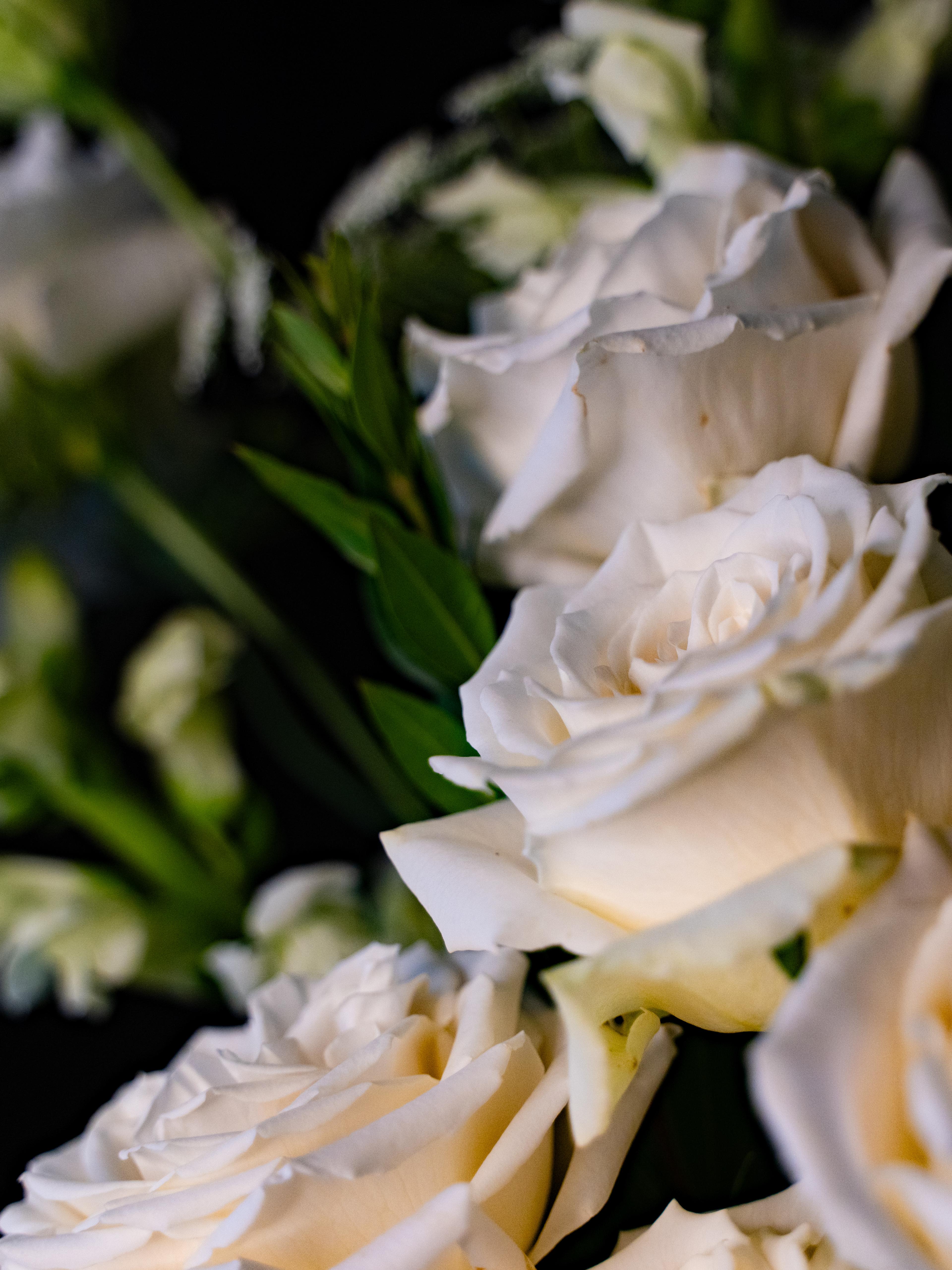 Crown of Elegance - image 6