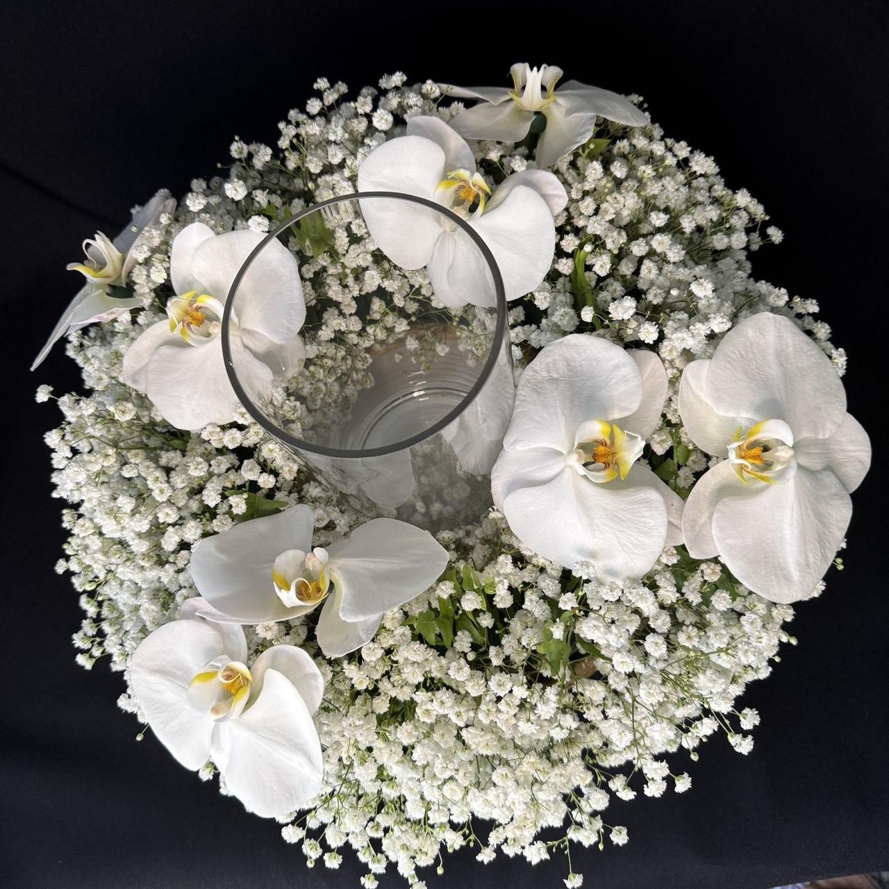 Jumbo Premium Orchid with Baby's Breath - image 2