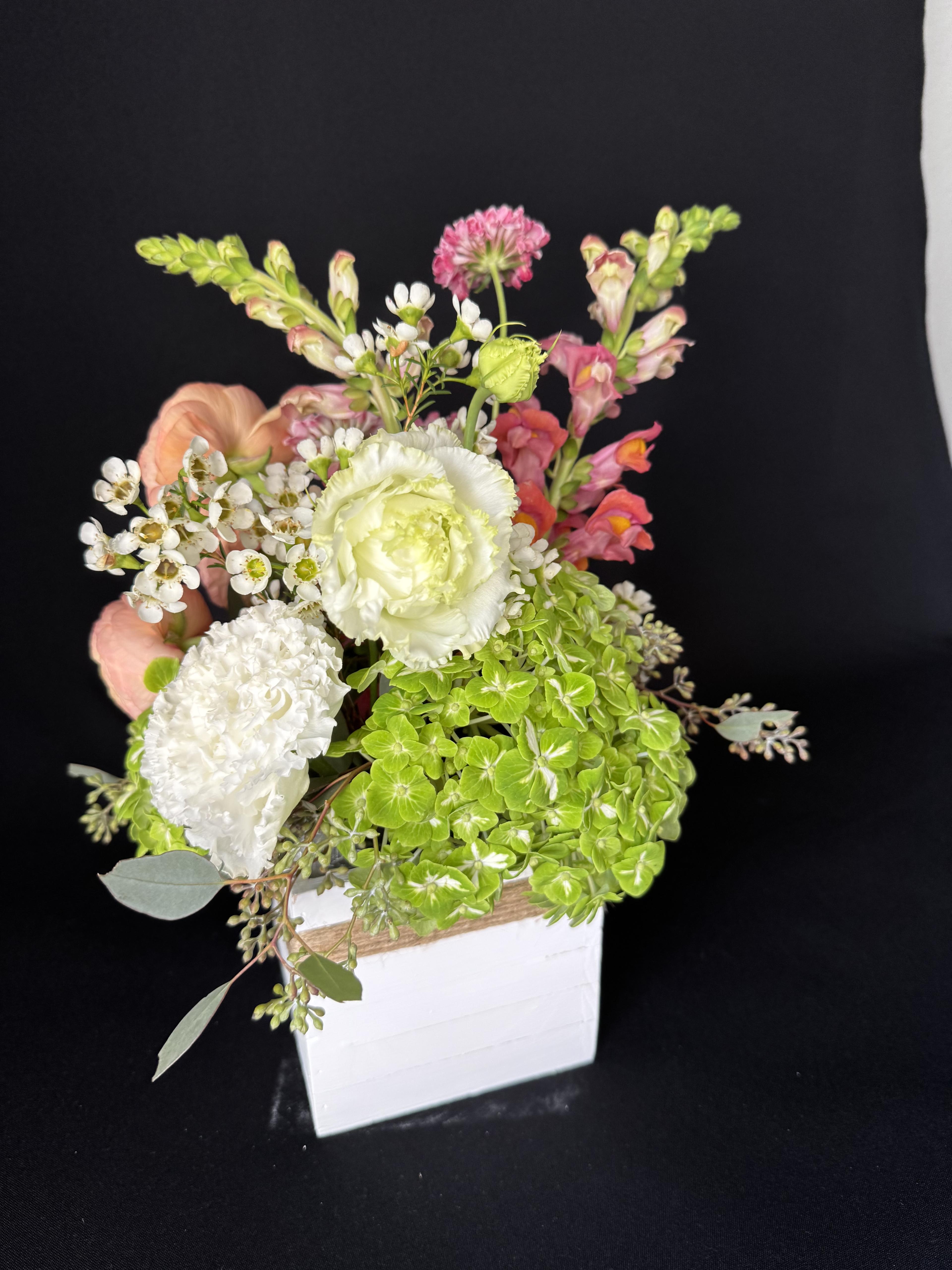 Blush Harmony - image 2