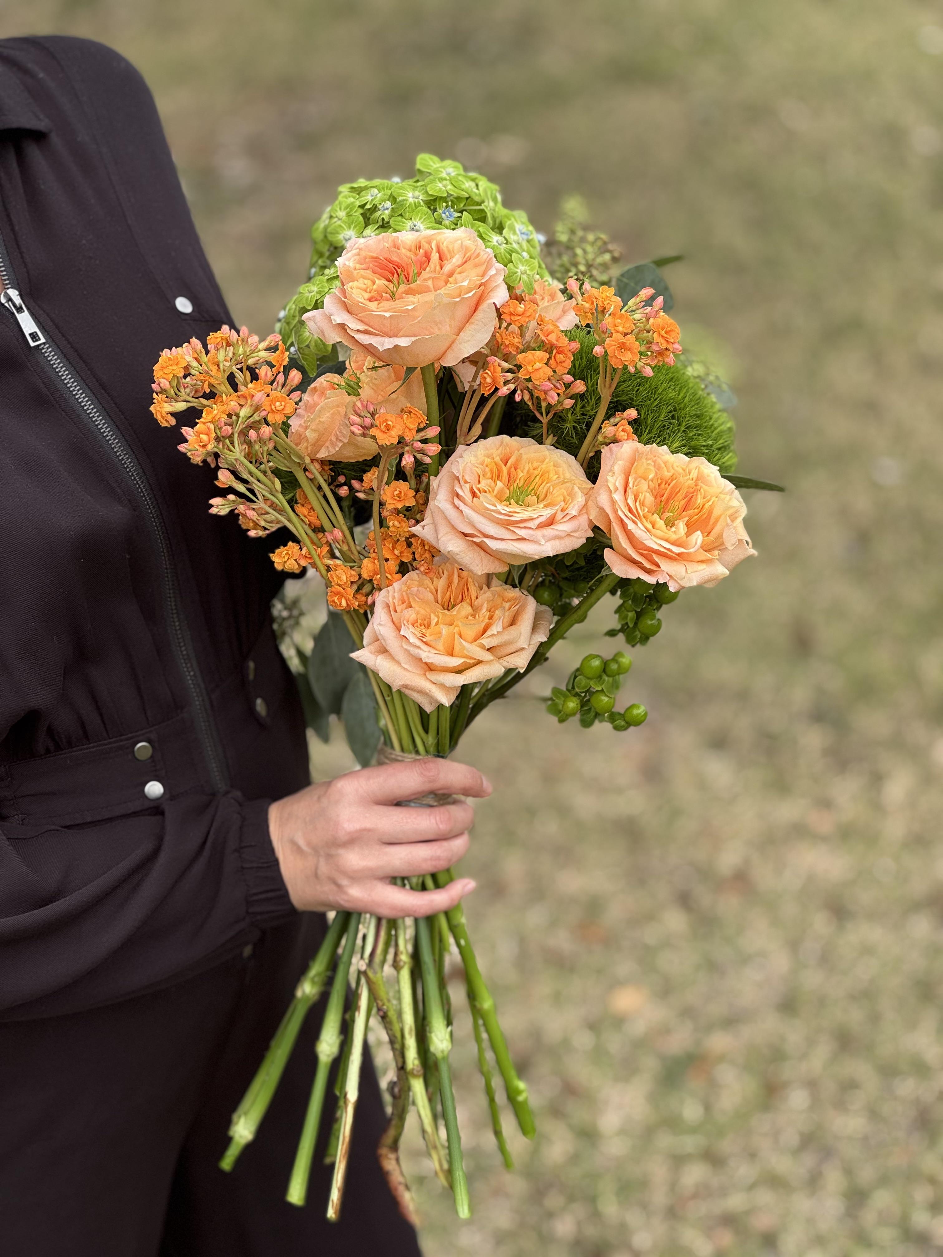 Royal Apricot - image 2