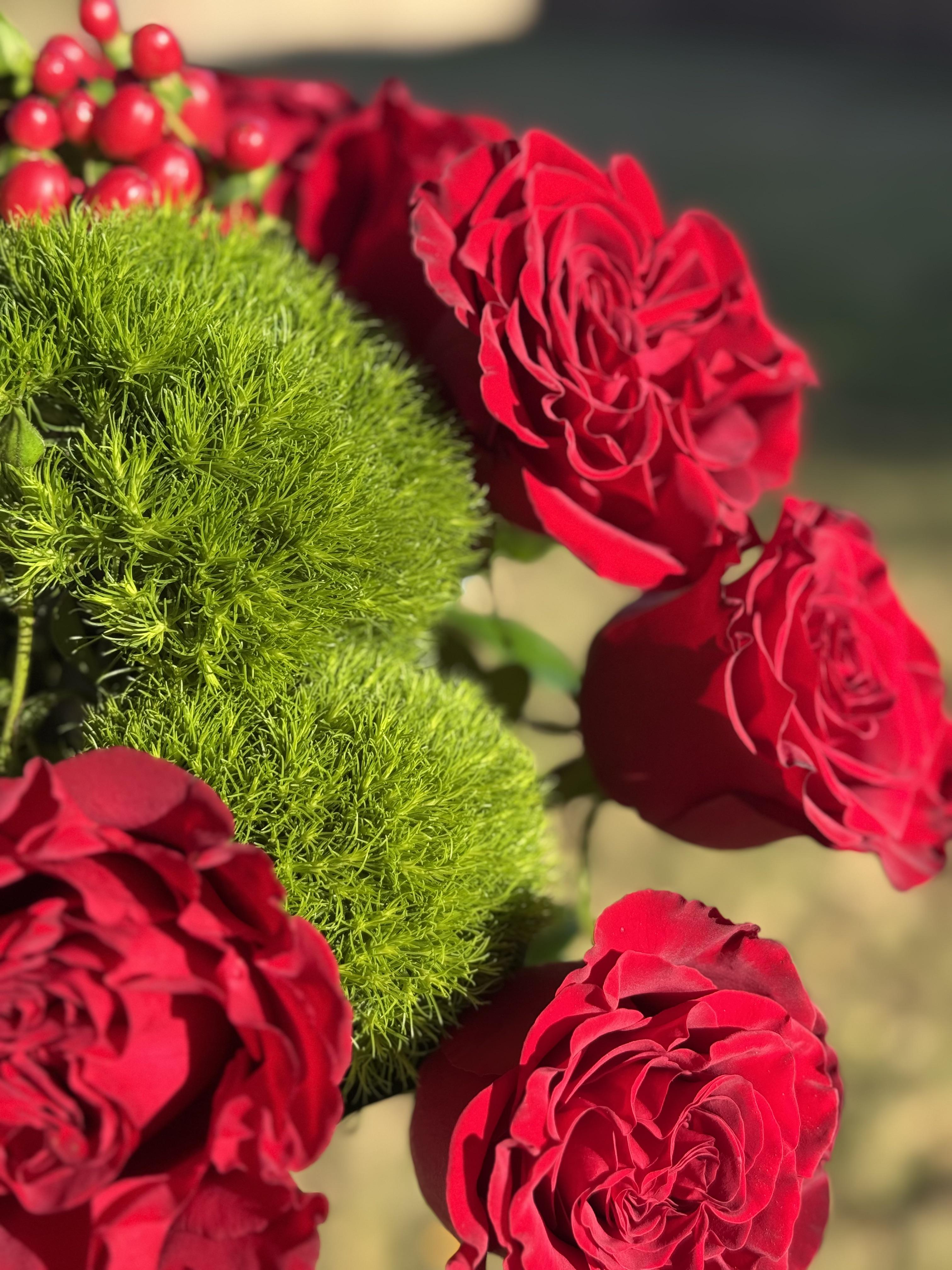 Garden of red Hearts - image 4