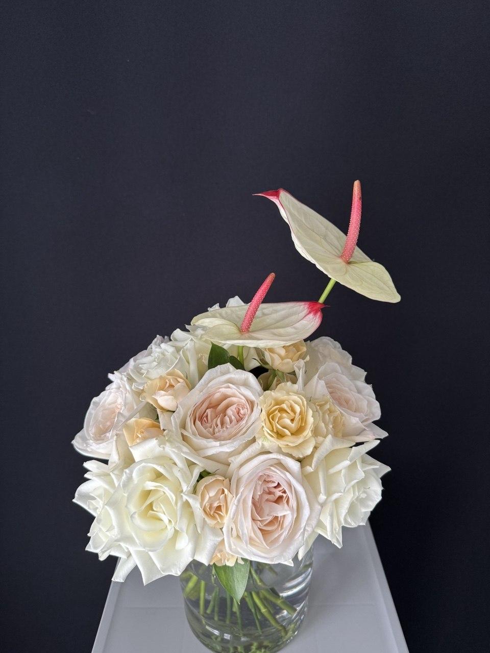Ivory Whisper - image 4